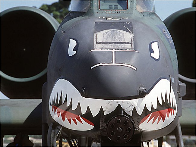 USAF A-10 Thunderbolt Warthog Tank Buster Jet Fighter Bomber was designed to survive over hostile war zones by having large amounts of protective armour